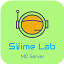 Server logo - mc.slimelab.net